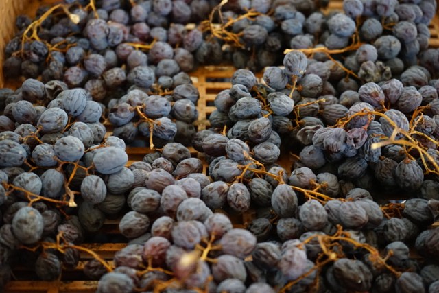 Weinseminare italia in bocca Ravensburg