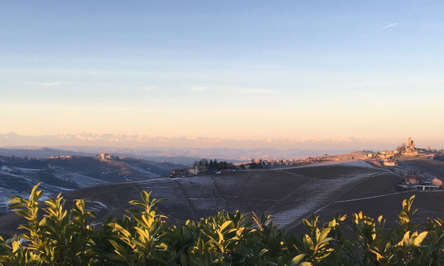 Weinseminare Olivenölseminare italia in bocca Ravensburg